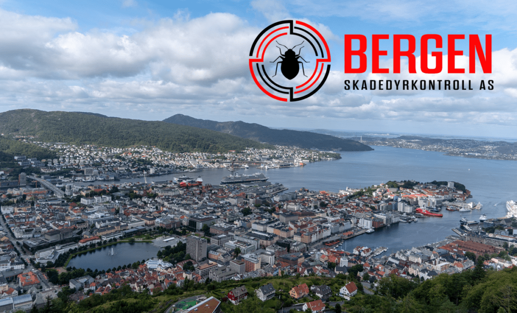 bildet viser Oversiktsbilde Bergen